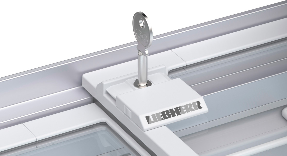 картинка Морозильный ларь Liebherr EFI 1403-20 G79 