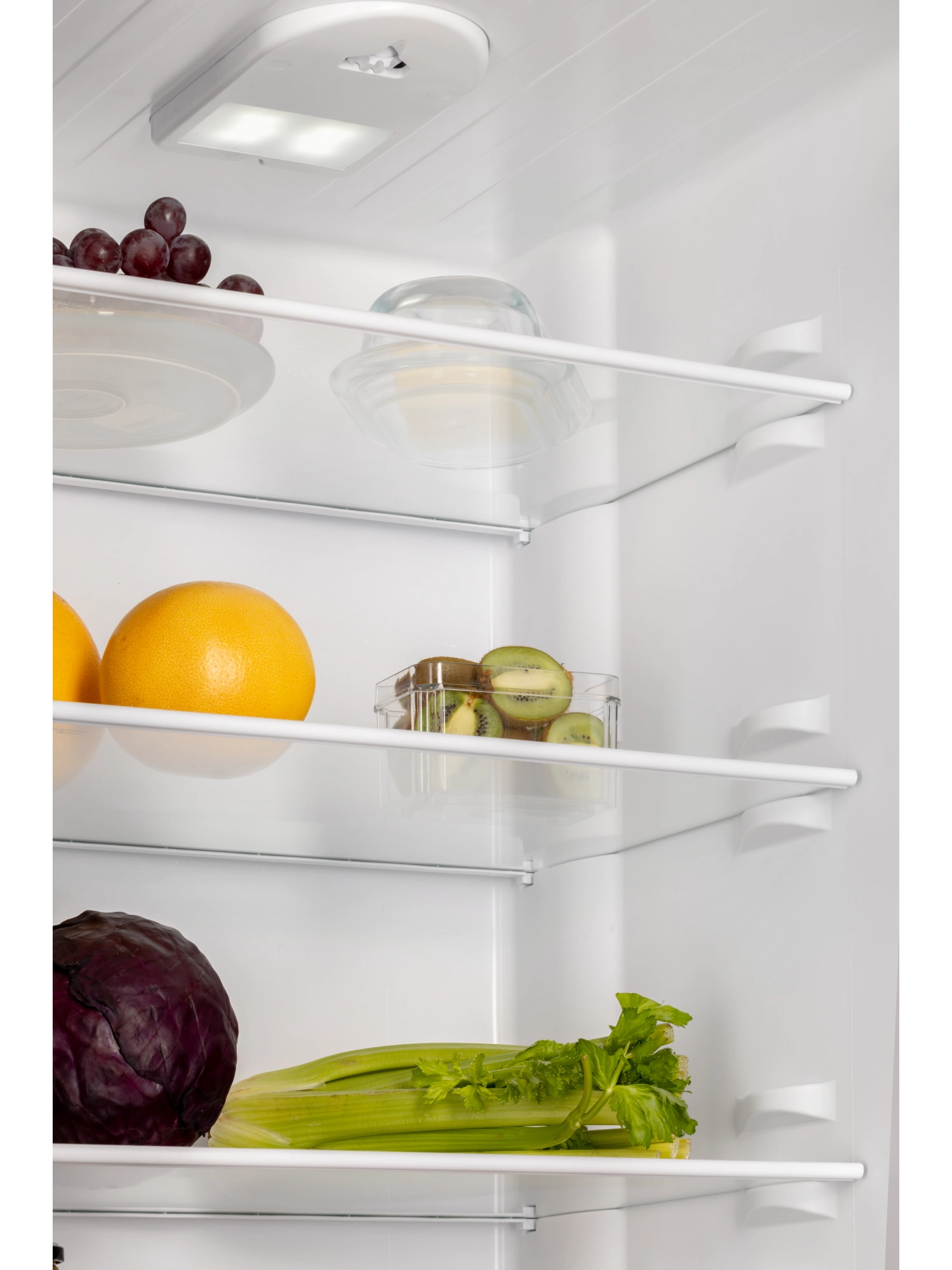 картинка Отдельностоящий холодильник Nord NRB 152 E 