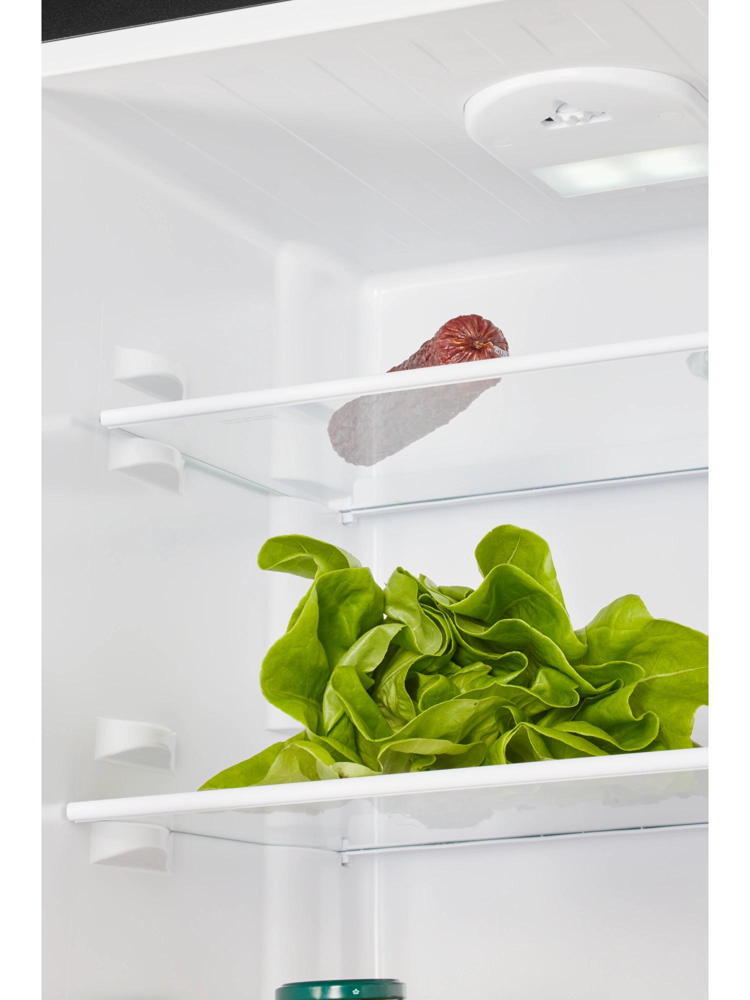 картинка Отдельностоящий холодильник Nord NRB 151 B 