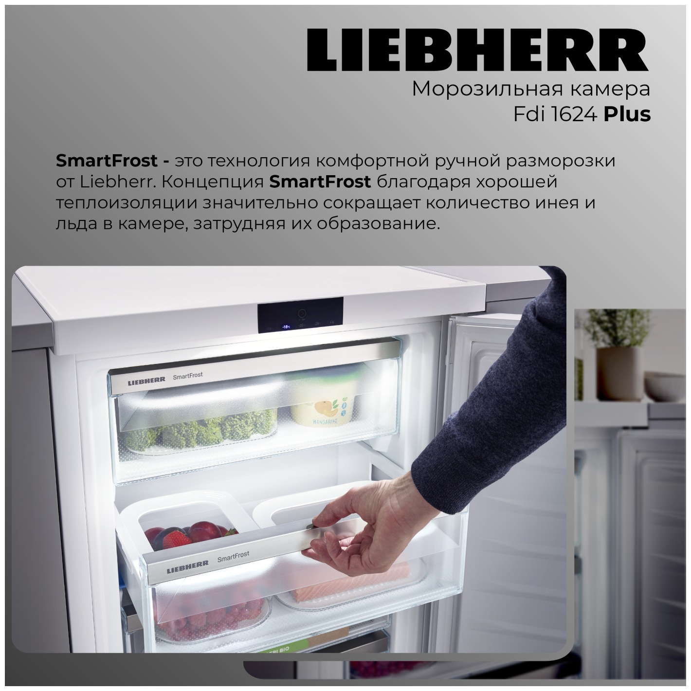 картинка Морозильная камера Liebherr Fdi 1624-20 001 