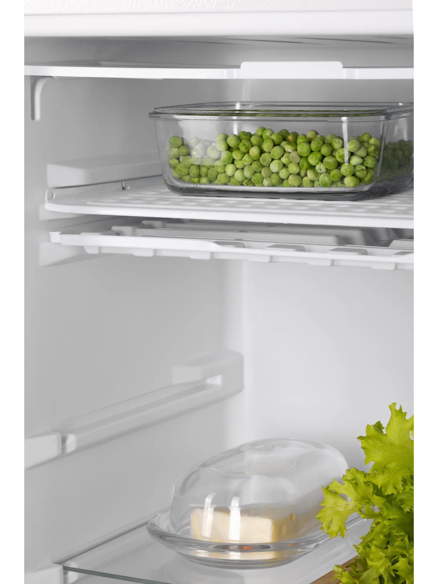 картинка Отдельностоящий холодильник Nord RF 90 W 