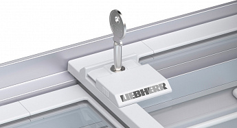 картинка Морозильный ларь Liebherr EFI 1403-20 G79 