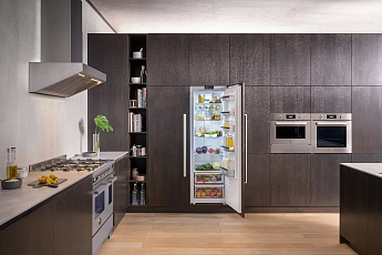 картинка Встраиваемый холодильник Bertazzoni LRD603UBNPVC/20  картинка Встраиваемый холодильник Bertazzoni LRD603UBNPVC/20