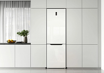 картинка Отдельностоящий холодильник Lex LKB201WGIDMAX 