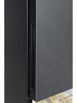 картинка Отдельностоящий холодильник Nord NRG 152 DTM титан 