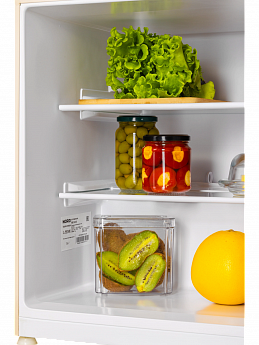 картинка Отдельностоящий холодильник Nord NR 506 E 