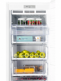 картинка Морозильная камера Nord DF 268 WAP 